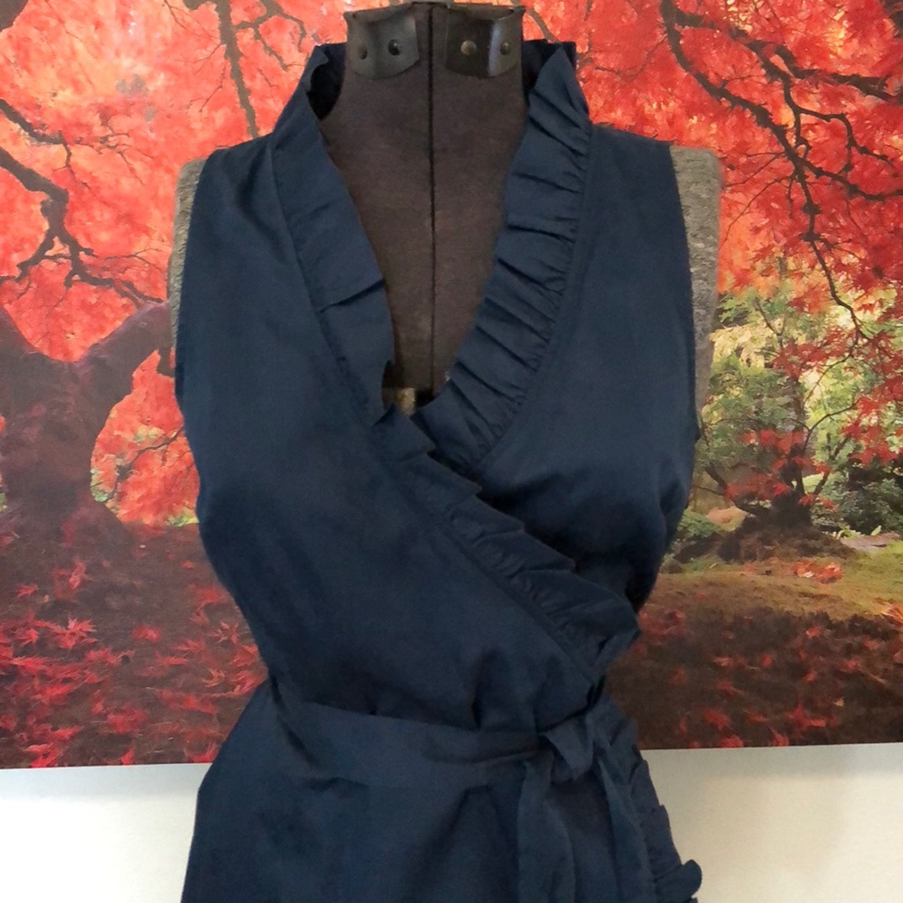 Stunning blue Ann Taylor LOFT faux wrap dress.